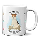 Guía de Compra: Los Mejores Productos para tu Fox Terrier