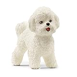 Los Mejores Productos para Cuidar a tu Perro Bichón Maltés Toy: Análisis y Comparativa