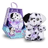 Los Mejores Productos para Dálmatas: Guía Esencial del Criador para Elegir lo Ideal para tu Mascota