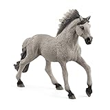 Descubre los Mejores Productos para Caballos en Badajoz: Análisis y Comparativa Esencial