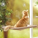 Guía de Compra: Todo lo que Debes Saber para la Venta de Gatitos y los Mejores Productos Esenciales para su Cuidado