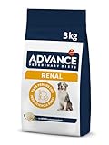 Mejores Productos para el Manejo de la Insuficiencia Renal en Perros en Fase 4: Análisis y Comparativa