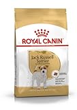 Todo lo que Necesitas Saber sobre el Jack Russell y su Terrier: Análisis de los Mejores Productos para tu Mascota