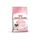 Royal Canin Mother and Babycat: Análisis y Comparativa de la Mejor Nutrición para Gatas y Gatitos