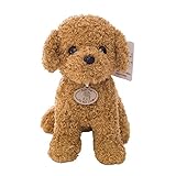 Los Mejores Productos para tu Perro Bichón Maltés Mini Toy: Análisis y Comparativa