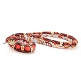 Todo lo que Necesitas Saber sobre la Serpiente del Maíz Adulta: Comparativa de los Mejores Hábitats y Accesorios para su Cuidado
