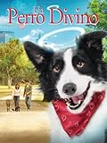 Los Mejores Productos para Perros Adultos: Análisis y Comparativa de Opciones Esenciales para el Bienestar de tu Mascota