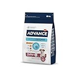 Los Mejores Alimentos Advanced Senior para tu Mascota: Comparativa y Análisis para un Envejecimiento Saludable