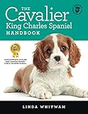 Mejores Productos para tu Cavalier King Charles Spaniel: Análisis y Comparativa 2023