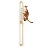 Los Mejores Rascadores para Gatos de Pared: Análisis y Comparativa de Productos que Transformarán el Espacio de tu Mascota
