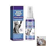 Los Mejores Sofás Anti Arañazos para Gatos: Análisis y Comparativa de Opciones Impermeables y Resistentes