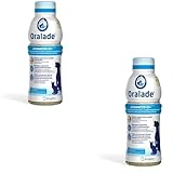 Los Mejores Suplementos Orales para Perros: Análisis y Comparativa de Productos que Cuidan su Salud Dental