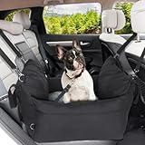 Los Mejores Transportines para Coche: Análisis y Comparativa para Viajar Seguro con tu Mascota