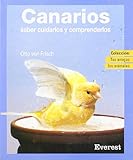 Guía Completa: Cómo Cuidar a tu Canario y los Mejores Productos para Su Bienestar