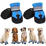 Los Mejores Zapatos para Perros: Análisis y Comparativa de Opciones para Proteger las Patas de Tu Mascota