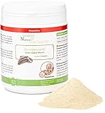 Mejillones para Perros: Análisis y Comparativa de los Mejores Suplementos Nutricionales