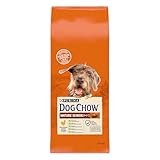 Mejor Comida para Perros Senior: Análisis y Comparativa de las Opciones Más Saludables