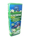 Los Mejores Productos Anti Algas para Estanques de Peces: Análisis y Comparativa para Mantener tu Acuario Saludable