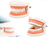Clínica Dental Griñón: Comparativa de los Mejores Productos para el Cuidado Bucal de tus Mascotas
