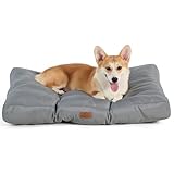 Las Mejores Camas para Perros: Análisis y Comparativa de Diseños que Encantarán a tu Mascota