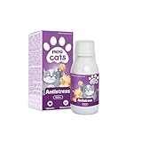 Mejores productos para cuidar a tu gato adoptado en Guadalajara: Análisis y recomendaciones