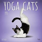 Mejores Productos para Practicar Yoga con Tu Gato: Comparativa de Accesorios y Juguetes