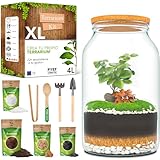 Guía Completa para Comprar Terrarios con Plantas: Comparativa de los Mejores Productos para el Hogar de tus Mascotas