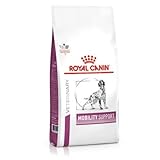 Movilidad y Bienestar: Análisis de los Mejores Productos Hill's para Mascotas con Necesidades Especiales