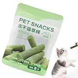 Onsior para Gatos: ¿Para Qué Sirve y Cuáles son sus Beneficios? Análisis de Este Antiinflamatorio en el Cuidado de tu Mascota