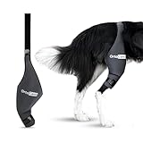¿Por qué mi perro operado de ligamento cruzado vuelve a cojear? Análisis de los mejores productos de recuperación y soporte para su rehabilitación
