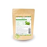 Ortiga para Perros: Beneficios, Usos y Comparativa de los Mejores Suplementos Naturales
