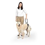 Las Mejores Almohadillas Carpianas Levantadas para Perros: Análisis y Comparativa de Productos Esenciales