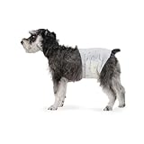 ¿Perro macho o hembra? Análisis comparativo de las mejores opciones para tu mascota