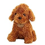 Guía Completa para Comprar Caniches Toy: Comparativa de los Mejores Productos y Consejos Esenciales