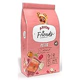 Análisis de Pienso Arion Friends: Opiniones y Comparativa con Otras Marcas de Alimento para Mascotas