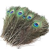 Plumas de Pavo Real: Comparativa de Precios y Beneficios para la Decoración de Espacios de Mascotas