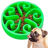 ¿Tu perro no quiere comer pienso? Descubre las mejores alternativas y productos para estimular su apetito