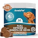 Coprofagia en Perros: Análisis y Comparativa de los Mejores Productos para Combatir Este Comportamiento Indeseado