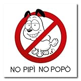¿Por qué mi perro lame el suelo y no vomita? Análisis de posibles causas y los mejores productos para mantener su salud