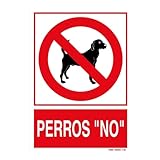 ¿Por qué mi perro se sacude mucho estando seco? Descubre las mejores soluciones y productos para mantenerlo cómodo y saludable