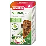 Praziquantel para Perros: Análisis y Comparativa de los Mejores Tratamientos Antiparasitarios