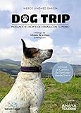 Descubriendo Portugal con tu Perro: Análisis de los Mejores Productos para Viajar Juntos