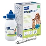 Pronefra en Mascotas: Efectos Secundarios y Comparativa con Otros Suplementos Renales