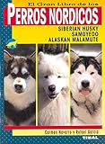 ¿Pueden los Perros Comer Granada? Análisis de Beneficios y Riesgos, Además de las Mejores Alternativas Nutricionales para tu Mascota
