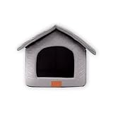 ¿Puedo Llevar a Mi Cachorro a Otra Casa? Guía de Productos Esenciales para una Visita Exitosa
