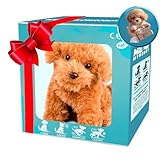 ¿Tu cachorro no hace pis en la calle? Descubre los mejores productos y consejos para solucionarlo
