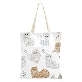 Guía Completa para Comprar un Selkirk Rex: Análisis y Comparativa de los Mejores Productos para Su Cuidado