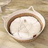 Las Mejores Camas de Verano para Gatos: Análisis y Comparativa de los Productos Más Frescos para tu Mascota