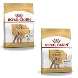 Royal Canin Caniche Toy: Análisis y Comparativa de las Mejores Opciones para el Cuidado de tu Mascota