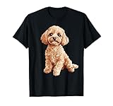Los Mejores Productos para Cuidar a tu Caniche: Análisis y Comparativa de Accesorios Esenciales